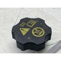 Пробка расширительного бачка Chevrolet Orlando 2011 13502353, 316702182