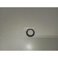 Прокладка (кузов наружные) VAG Passat CC (2008 - 2017) 1T0919133C9B9