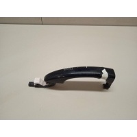 Ручка двери наружная VAG A4 [B8] (2007 - 2015) 8T0837205AGRU