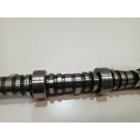 Распредвал Mitsubishi Pajero/Montero Sport (KH) (2008 - 2015) 1015B407