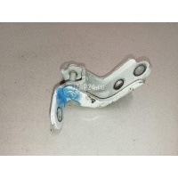 Петля двери Hyundai-Kia Soul (2009 - 2014) 793103K000