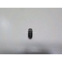 Болт регулировочный VAG EOS (2006 - 2015) WHT000530