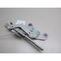 Петля капота правая BMW 3-serie E92/E93 (2006 - 2012) 41617210678