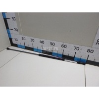 Амортизатор капота VAG A4 [B8] (2007 - 2015) 8T0823359
