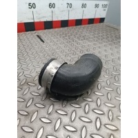 Патрубок интеркулера Volkswagen Passat 2003 3B0145834P