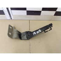 Петля капота правая RENAULT Megane II 2002-2009 8200468184