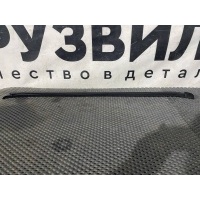 уплотнитель стекла двери правый Volvo FH5 82178204