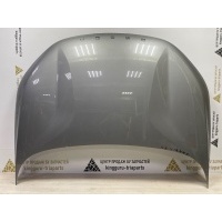 Капот Omoda C5 T19C 2022-2024 553000311AADYJ
