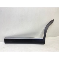 Молдинг двери HYUNDAI PALISADE lx2 2018-2022 87733S8000, 87733-S8000