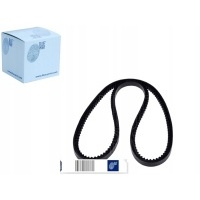 BLUE PRINT PASEK KLINOWY WIELOROWKOWY RFJ5183819A