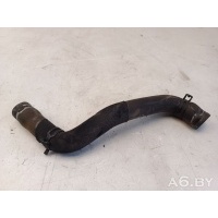 Патрубок (трубопровод, шланг) Renault Modus 2009 5800370019