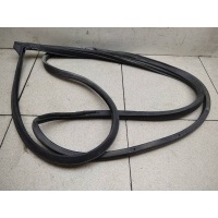 Уплотнитель двери задней правой toyota Corolla (E150) 2006-2013 6787112530