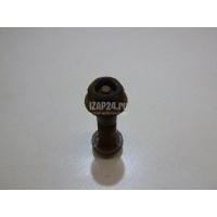 Болт Hyundai-Kia Soul (2009 - 2014) 546452E100