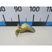 Петля двери Hyundai-Kia Sportage (2010 - 2015) 793102H000