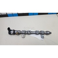 Рейка топливная (рампа) Hyundai-Kia ix55 (2007 - 2013) 314013A100