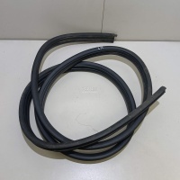 Уплотнитель двери Renault Sandero (2009 - 2014) 8200733171