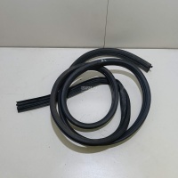 Уплотнитель двери Renault Sandero (2009 - 2014) 8200733161