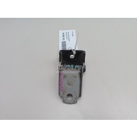 Петля двери Renault Megane III (2009 - 2016) 821773161R