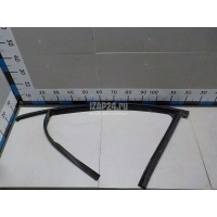Уплотнитель стекла двери Renault Megane III (2009 - 2016) 803310029R
