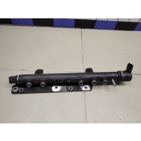 Рейка топливная (рампа) FIAT Doblo 2005-2015 55211906