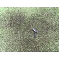 Датчик ABS AUDI S5 8T 2008 4E0927803D