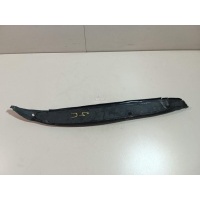 Пыльник (кузов наружные) Renault Megane III (2009 - 2016) 631137267R