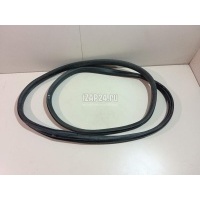 Уплотнитель двери Renault Megane III (2009 - 2016) 769230007R