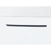 Уплотнитель стекла двери BMW X6M E71 2012 51337179427, 7179427