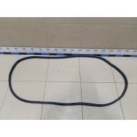 Уплотнитель двери RENAULT Duster II 2021> 808321467R