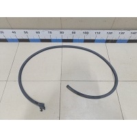 Уплотнитель двери RENAULT Duster II 2021> 823882378R