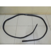 Уплотнитель двери RENAULT Duster 2012> 808321867R
