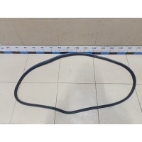 Уплотнитель двери RENAULT Duster II 2021> 769246286R
