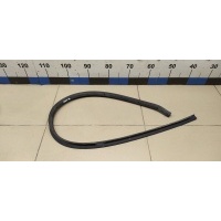 Уплотнитель двери VW Polo (Sed RUS) 2011> 6RU839698A5AP