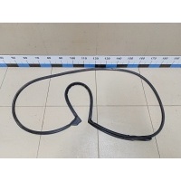 Уплотнитель двери TOYOTA RAV 4 2013-2019 6787242070