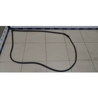 Уплотнитель двери TOYOTA RAV 4 2013-2019 6786242090