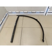 Уплотнитель стекла двери Chrysler Voyager/Caravan (RG) 2001-2008 4894124AC