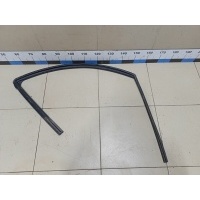 Уплотнитель стекла двери NISSAN Qashqai (J10) 2006-2014 80330BR25B