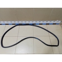 Уплотнитель (внутри) TOYOTA RAV 4 2013-2019 6233242080