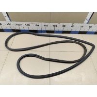 Уплотнитель двери HYUNDAI Terracan 2001-2007 82130H1000