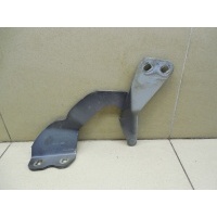 Петля капота левая FORD Kuga 2008-2012 1736156