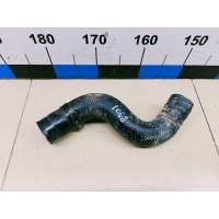 Патрубок радиатора TOYOTA Land Cruiser (150)-Prado 2009> 1657130100