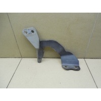 Петля капота правая FORD Kuga 2008-2012 1738378