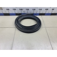 Уплотнитель двери RENAULT Logan 2005-2014 6001547017