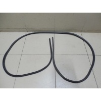 Уплотнитель двери FORD Kuga 2008-2012 1514309