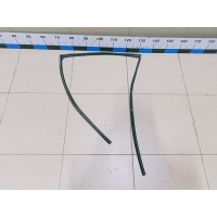 Уплотнитель стекла двери TOYOTA Land Cruiser (150)-Prado 2009> 6815260060