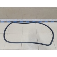 Уплотнитель двери VW Tiguan 2011-2016 5N08679119B9