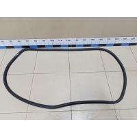 Уплотнитель двери VW Tiguan 2011-2016 5N08679119B9