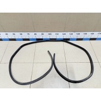 Уплотнитель (внутри) NISSAN Qashqai (J10) 2006-2014 76923JD01C