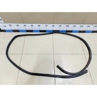 Уплотнитель (внутри) NISSAN Qashqai (J10) 2006-2014 76923JD01C