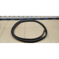 Уплотнитель двери RENAULT Logan 2005-2014 6001547018